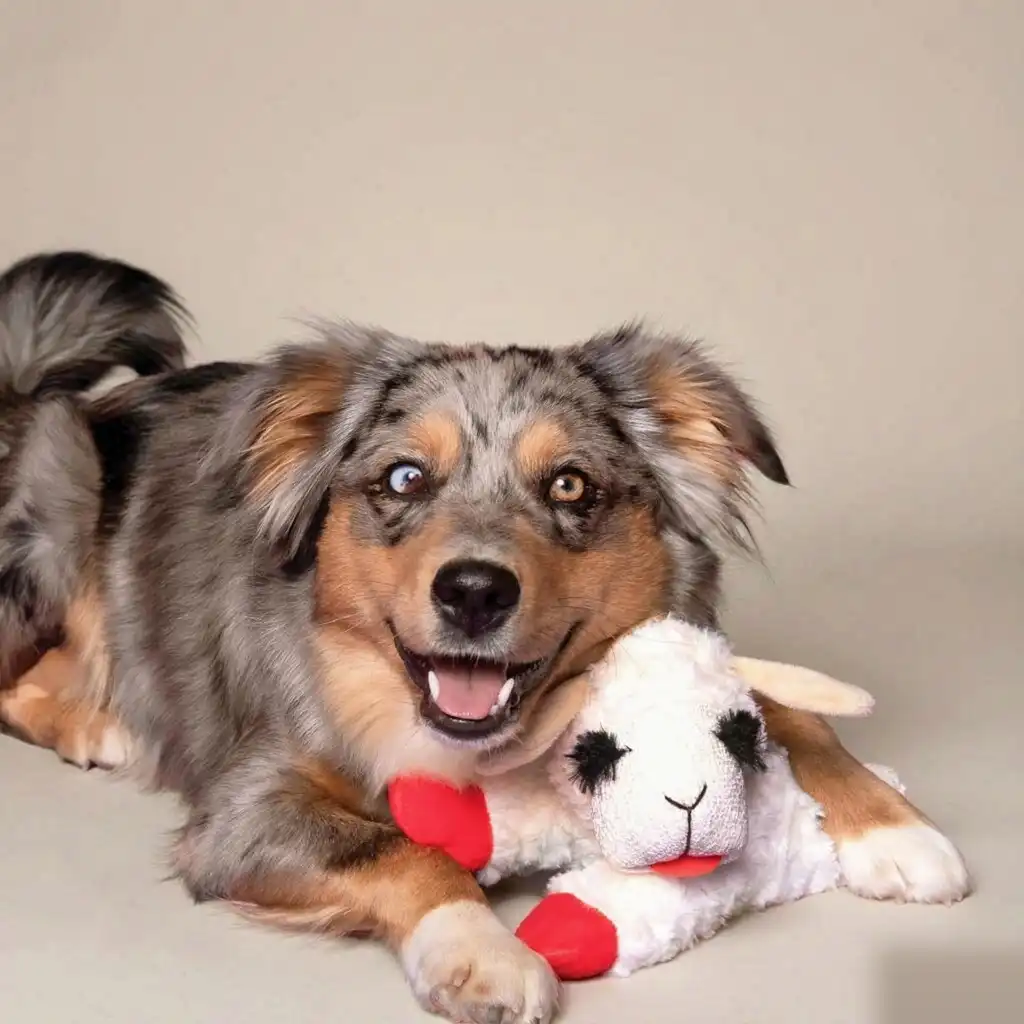 dog plush toy