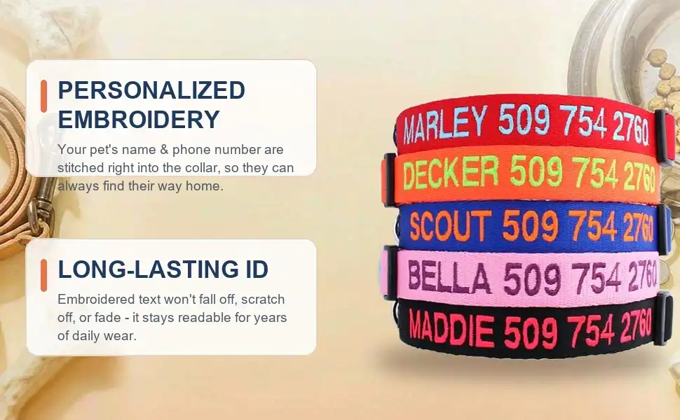 nylon dog collar